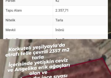 Korkuteli / Antalya Yeşilyayla’da Etrafı Telle Çevrili Acil Satılık Tarla